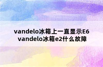 vandelo冰箱上一直显示E6 vandelo冰箱e2什么故障